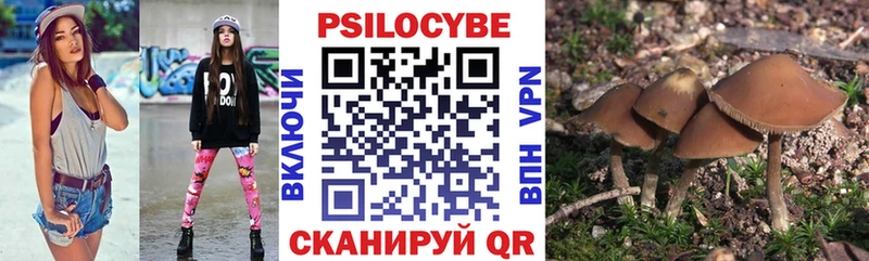 Галлюциногенные грибы GOLDEN TEACHER где купить наркоту Буй