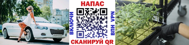 Бошки Шишки конопля  купить наркоту  Буй 